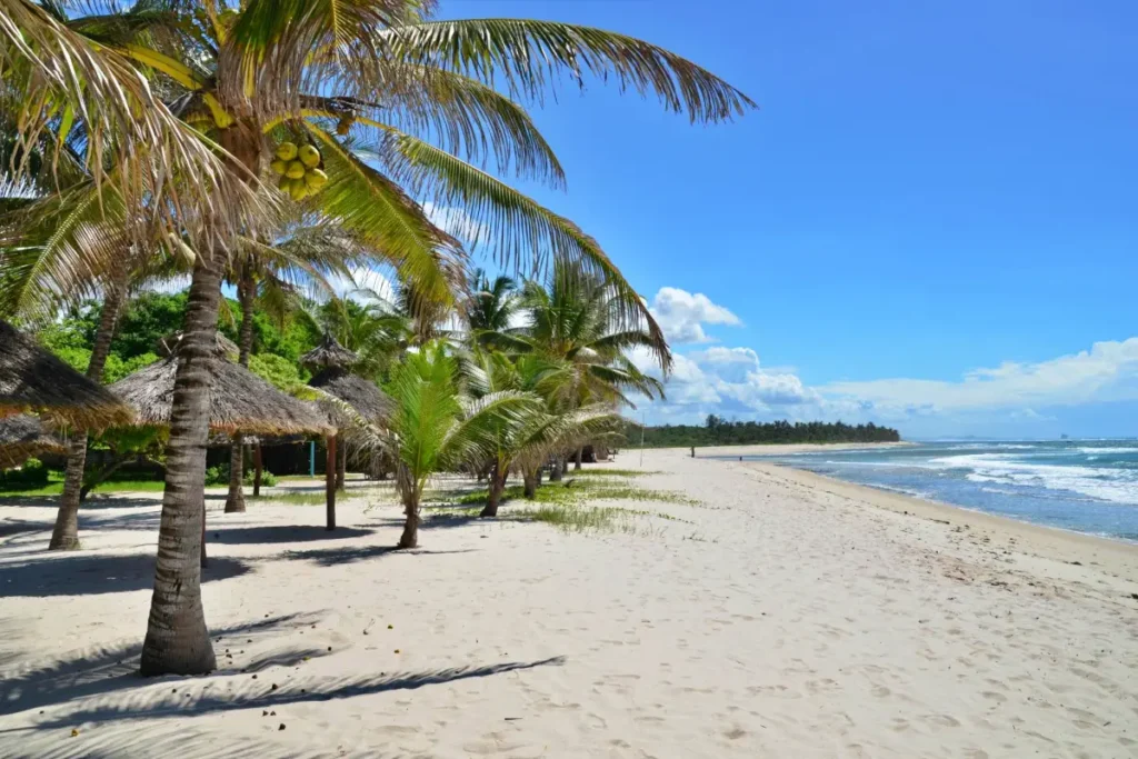 747d9a3ee2cd1f7ab313adc2244976b7 - Africa Typique Safari