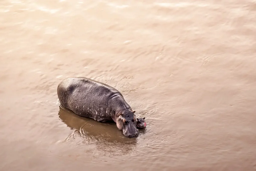 fr_balloon-15 - Africa Typique Safari