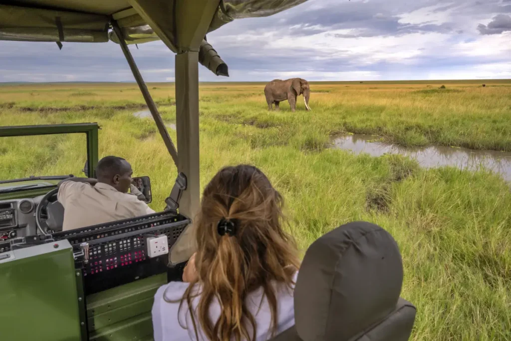 guests_on_safari-6 - Africa Typique Safari