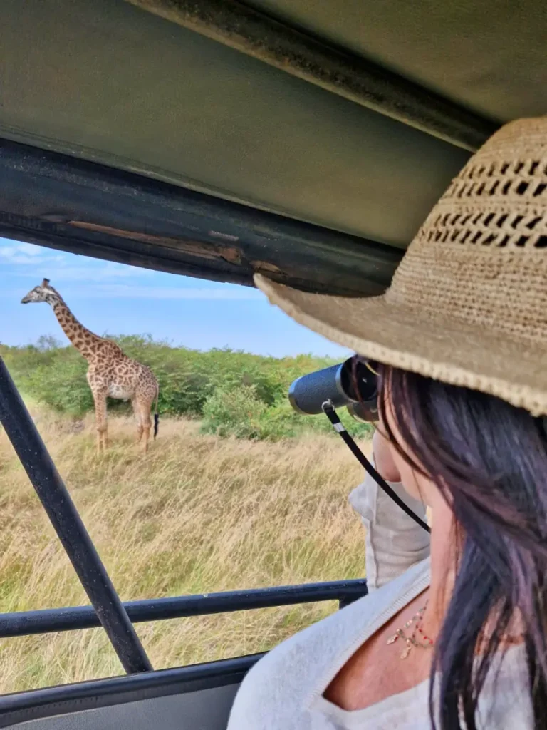 steady - Africa Typique Safari